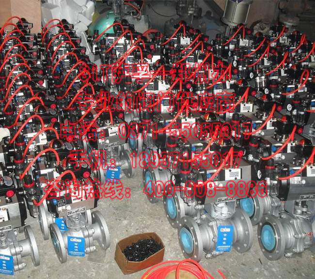 萨孚流体控制（上海）有限公司