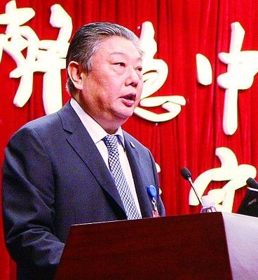 林左鸣作工作报告 林左鸣作工作报告